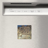 Achaemenid rock relief van koning Darius I Magneet (Insitu (Vaatwasser))