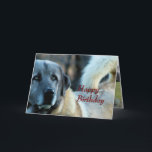 Achai Birthday Kaart- aanpassen van elke gelegenhe Kaart<br><div class="desc">Achai zal voor altijd in mijn herinnering zijn – wat een prachtige zachte reus die trouw ons vee en onze familie bewaakte. Verander de woorden aan de buitenkant en aan de binnenkant van deze kaart zoals u dat voor elke gelegenheid wenst. Om meer kaarten en cadeauartikelen met Achai te zien,...</div>