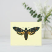 Acherontia atropos briefkaart (Staand voorkant)