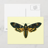 Acherontia atropos briefkaart (Voorkant / Achterkant)