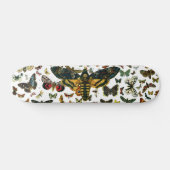 Acherontia atropos (Death's Head Hawkmol) Skateboard (Horizontaal)