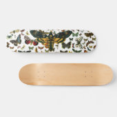 Acherontia atropos (Death's Head Hawkmol) Skateboard (Horizontaal)