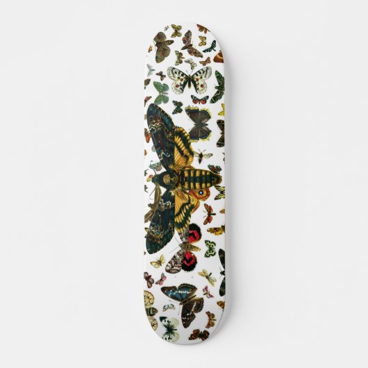 Acherontia atropos (Death's Head Hawkmol) Skateboard (Voorkant)