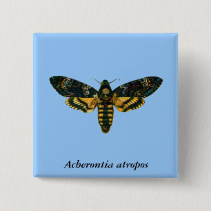 Acherontia atropos (Death's Head Hawkmol) Vierkante Button 5,1 Cm