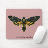 Acherontia atropos muismat (Met muis)