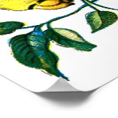 Acherontia atropos poster (Hoek)