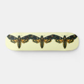 Acherontia atropos skateboard (Horizontaal)