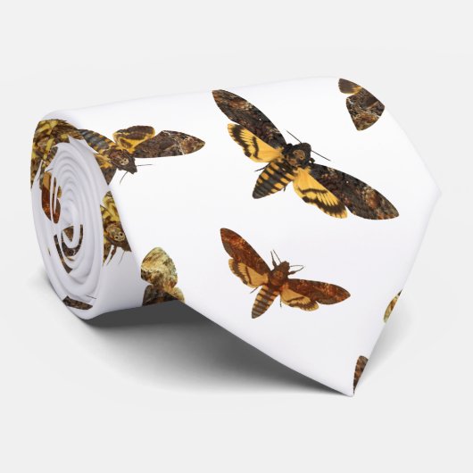 Acherontia Lachesis - Death's-head Hawkmol Stropdas (Opgerold)