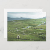 Achill Island Landschap Briefkaart (Voorkant / Achterkant)