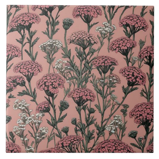 Achillea Desert Eve Deep Roos Tegeltje (Voorkant)