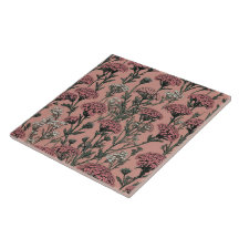 Achillea Desert Eve Deep Roos