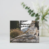 Achilles Briefkaart (Staand voorkant)