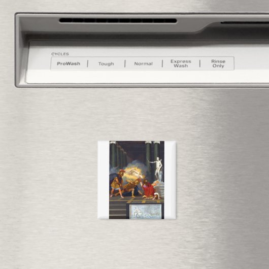 Achilles Hiel Wared Magneet (Insitu (Vaatwasser))