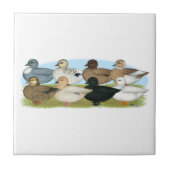 Acht bellers tegeltje (Voorkant)