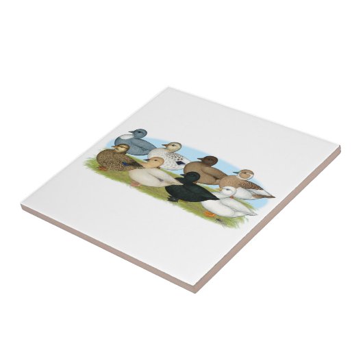 Acht bellers tegeltje (Zijkant)