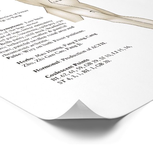 Acht buitengewone acupunctie Meridians Poster (Hoek)