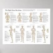 Acht buitengewone acupunctie Meridians Poster (Voorkant)
