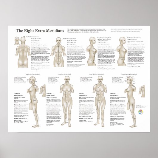 Acht buitengewone acupunctie Meridians Poster (Voorkant)