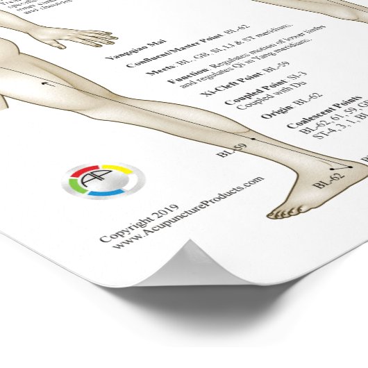 Acht extra acupunctie buitengewone mierikans poster (Hoek)