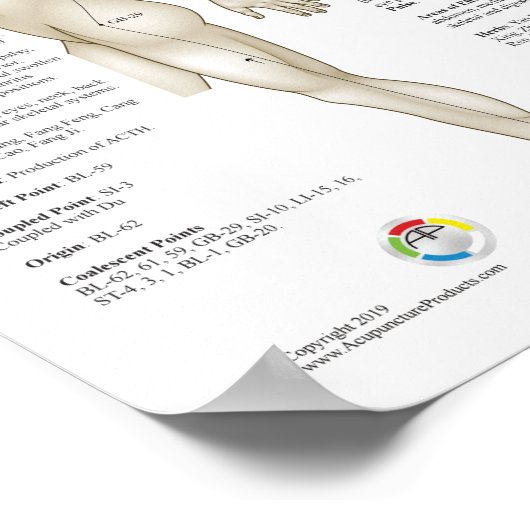 Acht extra acupunctie buitengewone mierikans poster (Hoek)