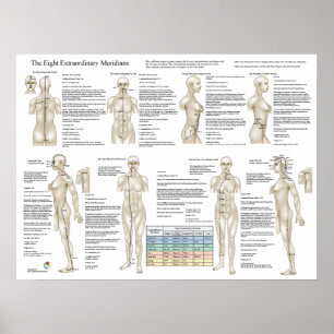 Acht extra acupunctie buitengewone mierikans poster