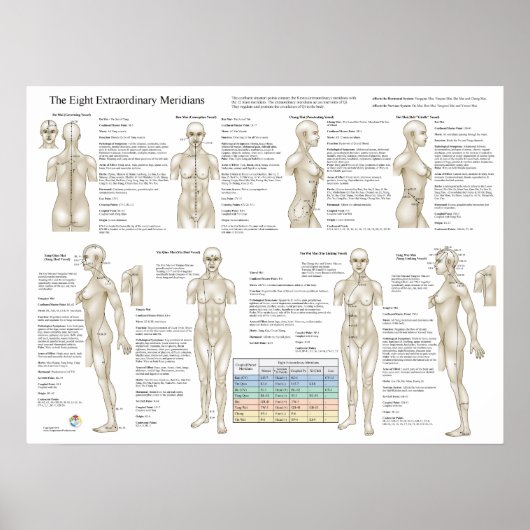 Acht extra acupunctie buitengewone mierikans poster (Voorkant)