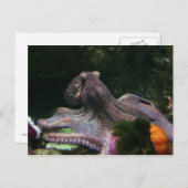 Acht manieren om te graven briefkaart (Voorkant / Achterkant)