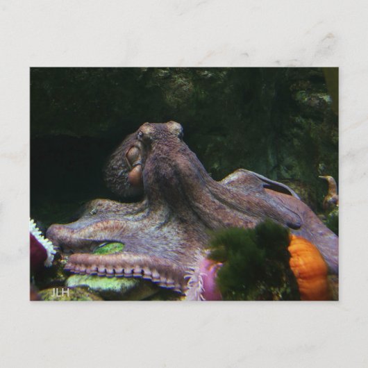 Acht manieren om te graven briefkaart (Voorkant)