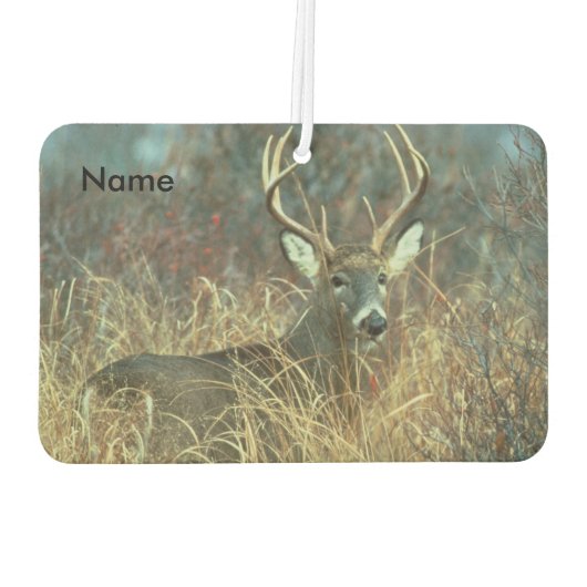 Acht punt Buck in het gras Luchtverfrisser (Achterkant)