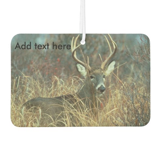 Acht punt Buck in het gras Luchtverfrisser (Voorkant)