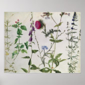 Acht studies over wilde bloemen poster (Voorkant)