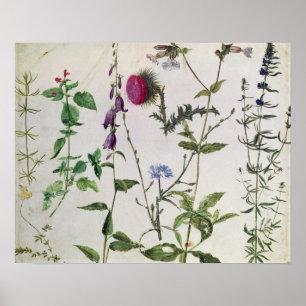 Acht studies over wilde bloemen poster