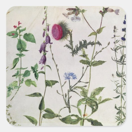 Acht studies over wilde bloemen vierkante sticker (Voorkant)