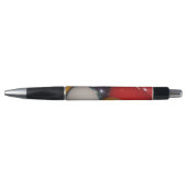 Achtbal de traditionele kleuren, pen (Voorkant)
