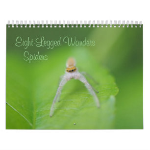 Achtbenige wonderen - Spiders Calendar Kalender