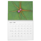 Achtbenige wonderen - Spiders Calendar Kalender (Mar 2027)