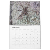 Achtbenige wonderen - Spiders Calendar Kalender (Jan 2027)