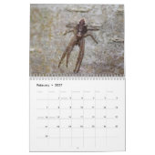 Achtbenige wonderen - Spiders Calendar Kalender (Feb 2027)