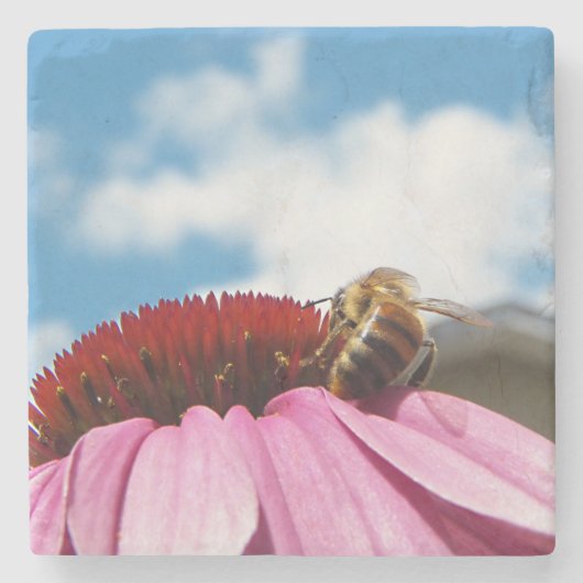 Achter de bij stenen onderzetter (Voorkant)