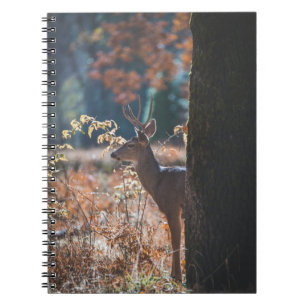 Achter de boom gaan notitieboek