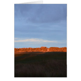 Achter de duinen bij Southwold