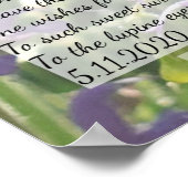 achter de lupine ogen poster (Hoek)