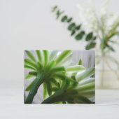 Achter de scènes briefkaart (Staand voorkant)