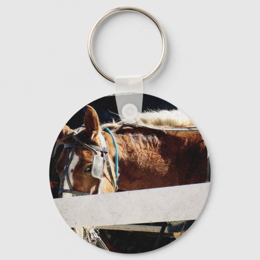 Achter de schutting Amish paard Sleutelhanger (Voorkant)