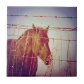 Achter het Abstracte paard van de Omheining Tegeltje (Voorkant)