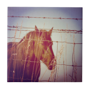 Achter het Abstracte paard van de Omheining Tegeltje