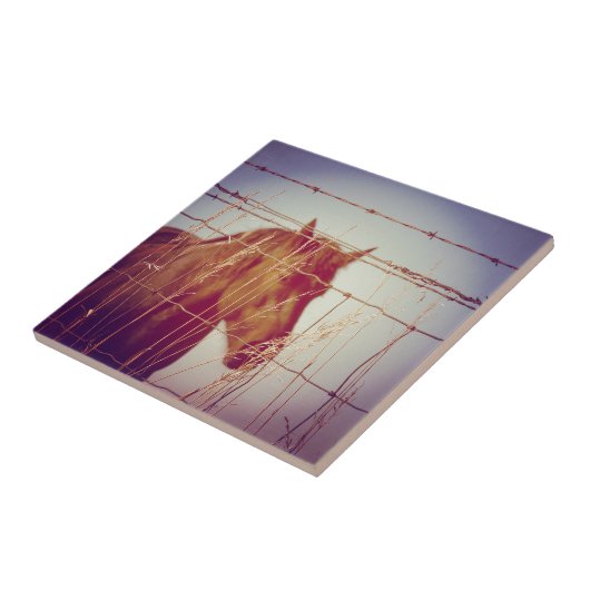 Achter het Abstracte paard van de Omheining Tegeltje (Zijkant)