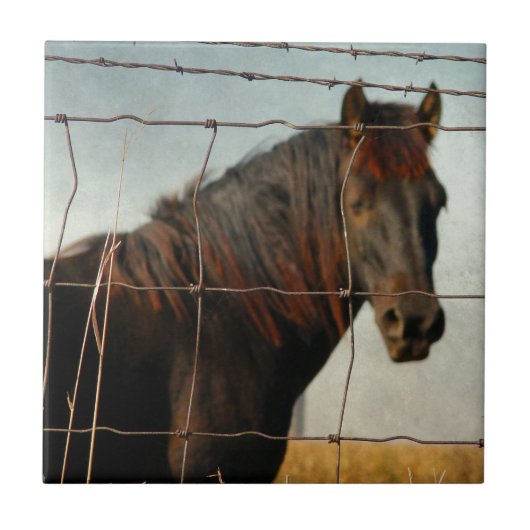 Achter het hek, abstract paard tegeltje (Voorkant)