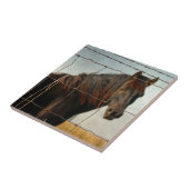 Achter het hek, abstract paard tegeltje (Zijkant)