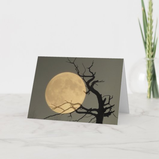 Achter Kaart (Voorkant)